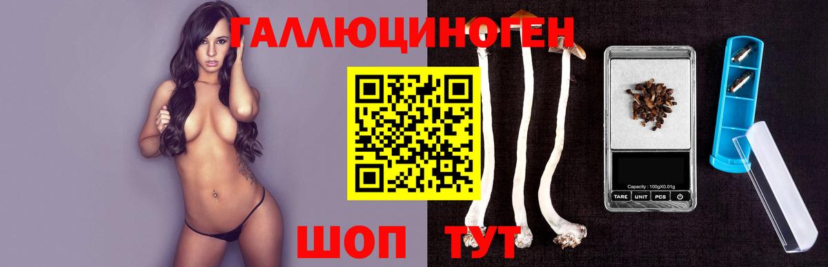 Псилоцибиновые грибы Psilocybe Ханты-Мансийск